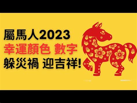 屬馬顏色2023|十二生肖「幸運數字、幸運顏色、大吉方位」！跟著做。